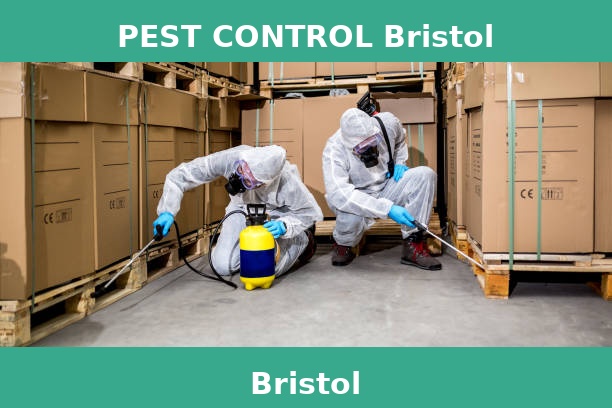 PEST CONTROL Bristol